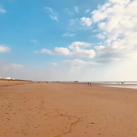 De L'océan, Calme Et Proximité *