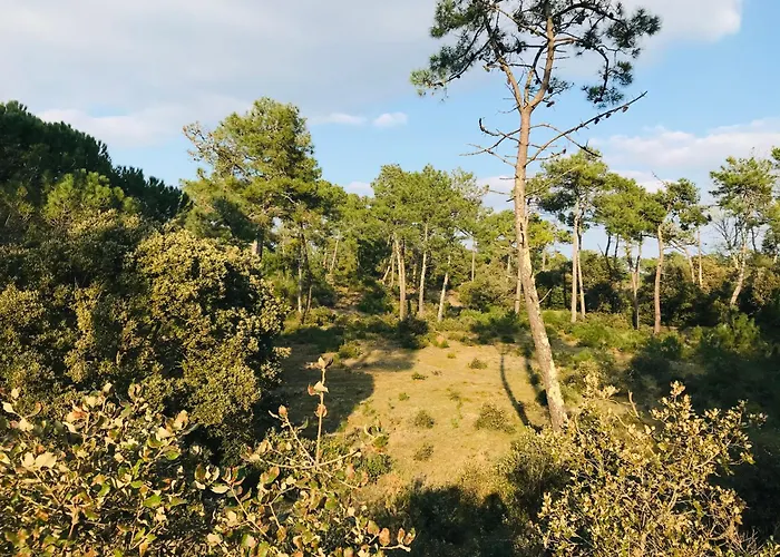 De L'océan, Calme Et Proximité * Saint-Jean-de-Monts